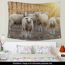 Sheep Flock On The Farm Wall Art 101114036