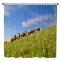 Sheep Herd On Green Summer Pasture Bath Decor 62417480