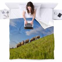 Sheep Herd On Green Summer Pasture Blankets 62417480
