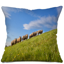 Sheep Herd On Green Summer Pasture Pillows 62417480