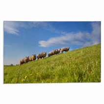 Sheep Herd On Green Summer Pasture Rugs 62417480