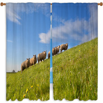 Sheep Herd On Green Summer Pasture Window Curtains 62417480