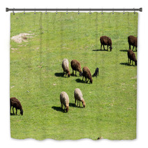 Sheep In Nature Bath Decor 67059572