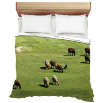 Sheep In Nature Bedding 67059572