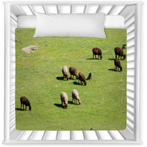 Sheep In Nature Nursery Decor 67059572