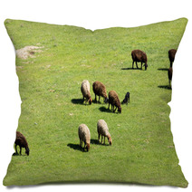 Sheep In Nature Pillows 67059572