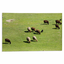 Sheep In Nature Rugs 67059572