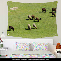 Sheep In Nature Wall Art 67059572