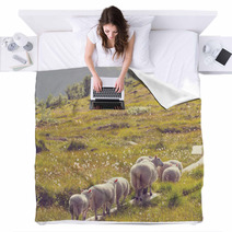 Sheep In Norway Blankets 66082125