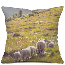 Sheep In Norway Pillows 66082125