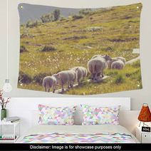 Sheep In Norway Wall Art 66082125