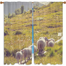 Sheep In Norway Window Curtains 66082125