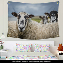 Sheep In The Yorkshire Dales England Countryside Staring Intently. Wall Art 88919881