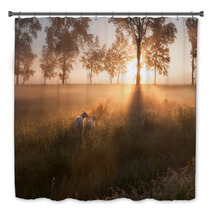 Sheep On Pasture At Misty Sunrise Bath Decor 96151754