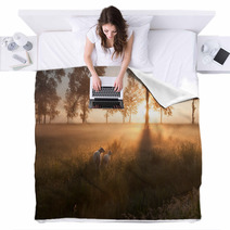 Sheep On Pasture At Misty Sunrise Blankets 96151754