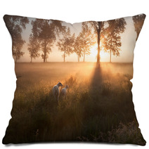 Sheep On Pasture At Misty Sunrise Pillows 96151754