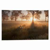 Sheep On Pasture At Misty Sunrise Rugs 96151754