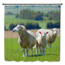 Sheep On The Farm Bath Decor 33215144