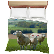 Sheep On The Farm Bedding 33215144
