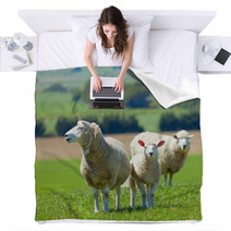 Sheep On The Farm Blankets 33215144