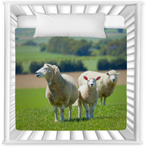 Sheep On The Farm Nursery Decor 33215144