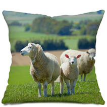 Sheep On The Farm Pillows 33215144