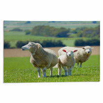 Sheep On The Farm Rugs 33215144