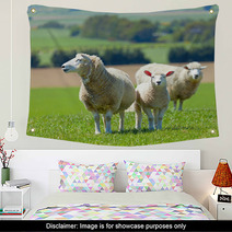 Sheep On The Farm Wall Art 33215144