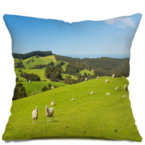 Sheep Pillows 70973104