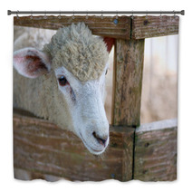 Sheep portrait Bath Decor 98984001