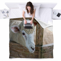 Sheep portrait Blankets 98984001