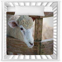 Sheep portrait Nursery Decor 98984001