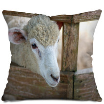 Sheep portrait Pillows 98984001