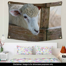 Sheep portrait Wall Art 98984001