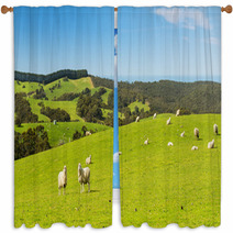 Sheep Window Curtains 70973104