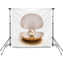 Shell Pearl Backdrops 60020095