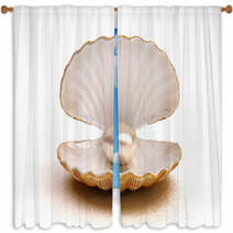 Shell Pearl Window Curtains 60020095