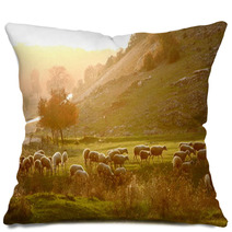 Shepherd Pillows 59862729