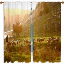 Shepherd Window Curtains 59862729
