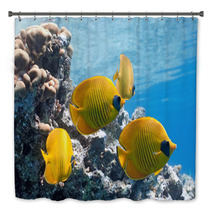 Shoal Of Butterfly Fish On The Reef Bath Decor 27105253