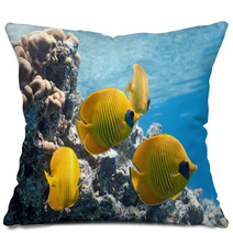 Shoal Of Butterfly Fish On The Reef Pillows 27105253