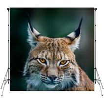 Siberian Lynx Backdrops 89599125