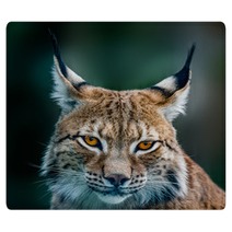 Siberian Lynx Rugs 89599125