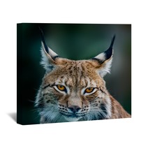 Siberian Lynx Wall Art 89599125