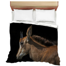 Side Face Portrait Of An Young Sable Antelope Female, Isolated On Black Background. The Head, Neck And Shoulder With Splendid Mane Of The Beautiful African Girl. Bedding 99084467