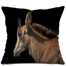 Side Face Portrait Of An Young Sable Antelope Female, Isolated On Black Background. The Head, Neck And Shoulder With Splendid Mane Of The Beautiful African Girl. Pillows 99084467