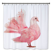 Side View Of A Pink Dove Against White Background Bath Decor 49143341