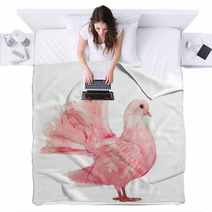Side View Of A Pink Dove Against White Background Blankets 49143341