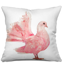 Side View Of A Pink Dove Against White Background Pillows 49143341