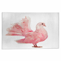 Side View Of A Pink Dove Against White Background Rugs 49143341